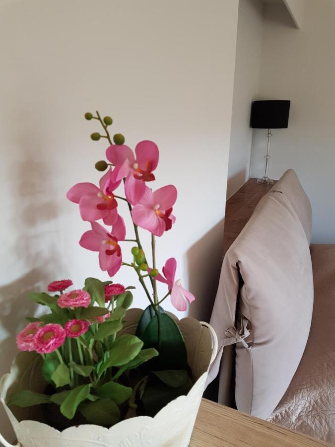 Diomede Bed and Breakfast Matera Buitenkant foto